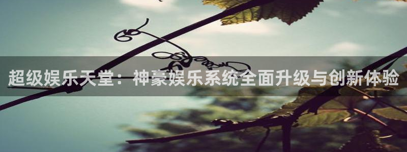 舒克极悦
