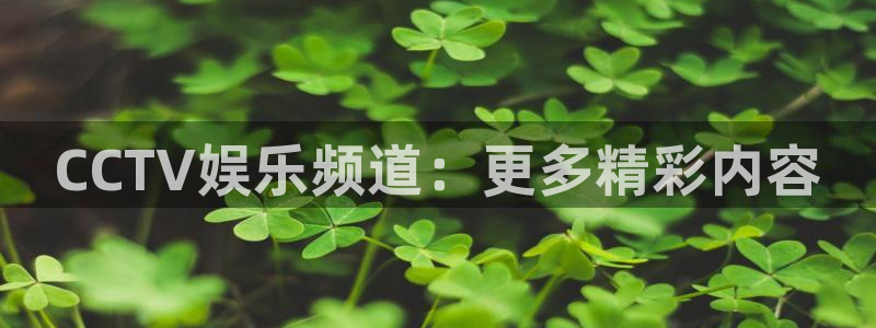 极悦平台注册