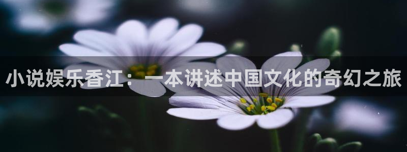 极悦娱乐官网